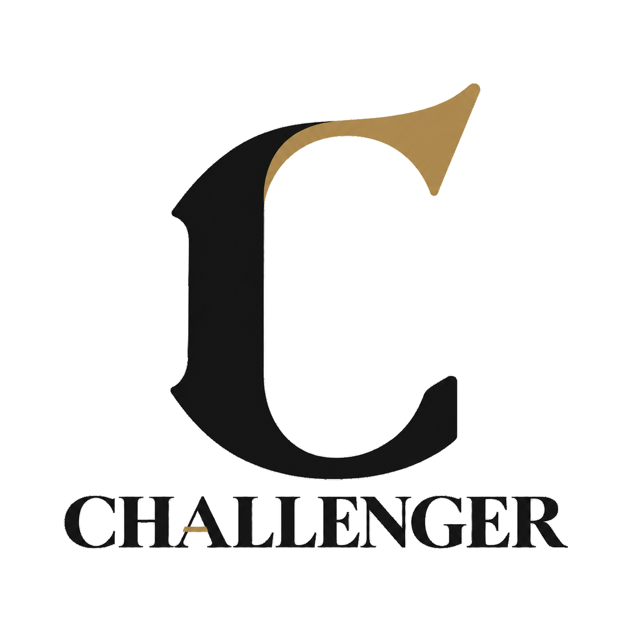 CHALLENGER SYSTEM 로고